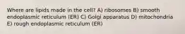 Where are lipids made in the cell? A) ribosomes B) smooth endoplasmic reticulum (ER) C) Golgi apparatus D) mitochondria E) rough endoplasmic reticulum (ER)