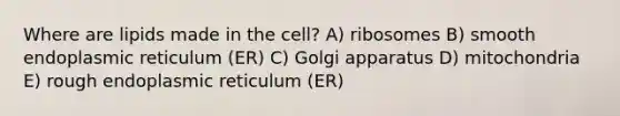 Where are lipids made in the cell? A) ribosomes B) smooth endoplasmic reticulum (ER) C) Golgi apparatus D) mitochondria E) rough endoplasmic reticulum (ER)