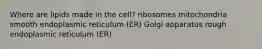 Where are lipids made in the cell? ribosomes mitochondria smooth endoplasmic reticulum (ER) Golgi apparatus rough endoplasmic reticulum (ER)