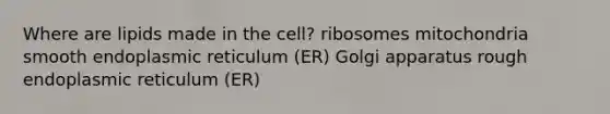 Where are lipids made in the cell? ribosomes mitochondria smooth endoplasmic reticulum (ER) Golgi apparatus rough endoplasmic reticulum (ER)