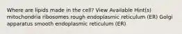 Where are lipids made in the cell? View Available Hint(s) mitochondria ribosomes rough endoplasmic reticulum (ER) Golgi apparatus smooth endoplasmic reticulum (ER)