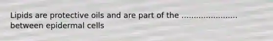Lipids are protective oils and are part of the ....................... between epidermal cells