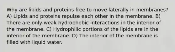 Why are lipids and proteins free to move laterally in membranes? A) Lipids and proteins repulse each other in the membrane. B) There are only weak hydrophobic interactions in the interior of the membrane. C) Hydrophilic portions of the lipids are in the interior of the membrane. D) The interior of the membrane is filled with liquid water.