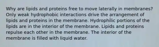 Why are lipids and proteins free to move laterally in membranes? Only weak hydrophobic interactions drive the arrangement of lipids and proteins in the membrane. Hydrophilic portions of the lipids are in the interior of the membrane. Lipids and proteins repulse each other in the membrane. The interior of the membrane is filled with liquid water.