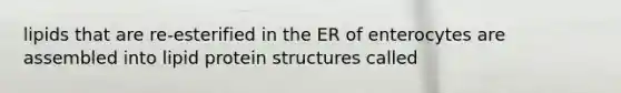 lipids that are re-esterified in the ER of enterocytes are assembled into lipid protein structures called