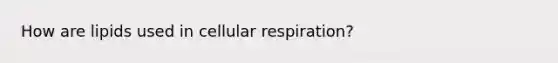 How are lipids used in cellular respiration?