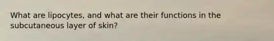 What are lipocytes, and what are their functions in the subcutaneous layer of skin?