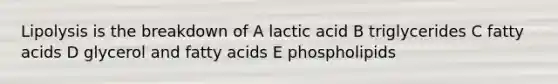 Lipolysis is the breakdown of A lactic acid B triglycerides C fatty acids D glycerol and fatty acids E phospholipids