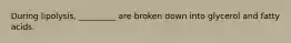 During lipolysis, _________ are broken down into glycerol and fatty acids.