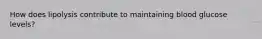 How does lipolysis contribute to maintaining blood glucose levels?