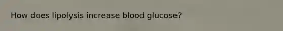 How does lipolysis increase blood glucose?