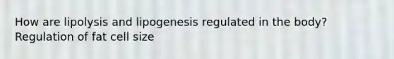 How are lipolysis and lipogenesis regulated in the body? Regulation of fat cell size