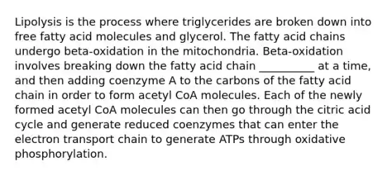 Lipolysis is the process where triglycerides are broken down into free fatty acid molecules and glycerol. The fatty acid chains undergo beta-oxidation in the mitochondria. Beta-oxidation involves breaking down the fatty acid chain __________ at a time, and then adding coenzyme A to the carbons of the fatty acid chain in order to form acetyl CoA molecules. Each of the newly formed acetyl CoA molecules can then go through the citric acid cycle and generate reduced coenzymes that can enter <a href='https://www.questionai.com/knowledge/k57oGBr0HP-the-electron-transport-chain' class='anchor-knowledge'>the electron transport chain</a> to generate ATPs through <a href='https://www.questionai.com/knowledge/kFazUb9IwO-oxidative-phosphorylation' class='anchor-knowledge'>oxidative phosphorylation</a>.