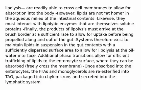 lipolysis— are readily able to cross cell membranes to allow for absorption into the body -However, lipids are not "at home" in the aqueous milieu of the intestinal contents -Likewise, they must interact with lipolytic enzymes that are themselves soluble proteins -Finally, the products of lipolysis must arrive at the brush border at a sufficient rate to allow for uptake before being propelled along and out of the gut -Systems therefore exist to maintain lipids in suspension in the gut contents with a sufficiently dispersed surface area to allow for lipolysis at the oil-water interface -Additional phase transitions allow for efficient trafficking of lipids to the enterocyte surface, where they can be absorbed (freely cross the membrane) -Once absorbed into the enterocytes, the FFAs and monoglycerols are re-esterified into TAG, packaged into chylomicrons and secreted into the lymphatic system