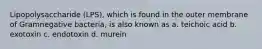 Lipopolysaccharide (LPS), which is found in the outer membrane of Gramnegative bacteria, is also known as a. teichoic acid b. exotoxin c. endotoxin d. murein