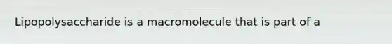 Lipopolysaccharide is a macromolecule that is part of a