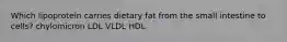 Which lipoprotein carries dietary fat from the small intestine to cells? chylomicron LDL VLDL HDL