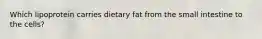 Which lipoprotein carries dietary fat from the small intestine to the cells?