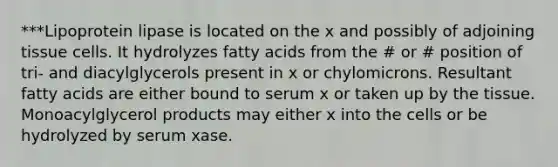 ***Lipoprotein lipase is located on the x and possibly of adjoining tissue cells. It hydrolyzes fatty acids from the # or # position of tri- and diacylglycerols present in x or chylomicrons. Resultant fatty acids are either bound to serum x or taken up by the tissue. Monoacylglycerol products may either x into the cells or be hydrolyzed by serum xase.