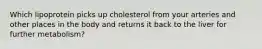 Which lipoprotein picks up cholesterol from your arteries and other places in the body and returns it back to the liver for further metabolism?