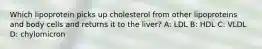 Which lipoprotein picks up cholesterol from other lipoproteins and body cells and returns it to the liver? A: LDL B: HDL C: VLDL D: chylomicron