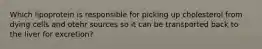 Which lipoprotein is responsible for picking up cholesterol from dying cells and otehr sources so it can be transported back to the liver for excretion?