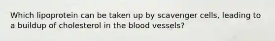 Which lipoprotein can be taken up by scavenger cells, leading to a buildup of cholesterol in <a href='https://www.questionai.com/knowledge/k7oXMfj7lk-the-blood' class='anchor-knowledge'>the blood</a> vessels?