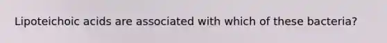 Lipoteichoic acids are associated with which of these bacteria?