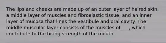 The lips and cheeks are made up of an outer layer of haired skin, a middle layer of muscles and fibroelastic tissue, and an inner layer of mucosa that lines the vestibule and oral cavity. The middle muscular layer consists of the muscles of ___, which contribute to the biting strength of the mouth.