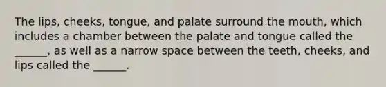 The lips, cheeks, tongue, and palate surround <a href='https://www.questionai.com/knowledge/krBoWYDU6j-the-mouth' class='anchor-knowledge'>the mouth</a>, which includes a chamber between the palate and tongue called the ______, as well as a narrow space between the teeth, cheeks, and lips called the ______.