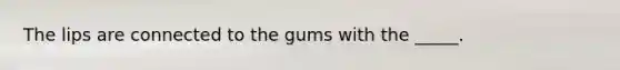 The lips are connected to the gums with the _____.