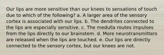 Our lips are more sensitive than our knees to sensations of touch due to which of the following? a. A larger area of the sensory cortex is associated with our lips. b. The dendrites connected to the lips are especially sensitive. c. The medulla routes impulses from the lips directly to our brainstem. d. More neurotransmitters are released when the lips are touched. e. Our lips are directly connected to the sensory cortex, but our knees are not.