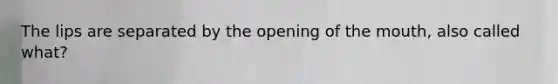 The lips are separated by the opening of the mouth, also called what?