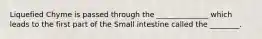 Liquefied Chyme is passed through the ______________ which leads to the first part of the Small intestine called the ________.