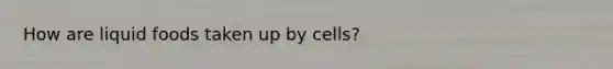 How are liquid foods taken up by cells?