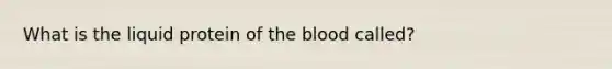 What is the liquid protein of the blood called?