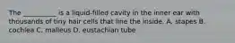 The __________ is a liquid-filled cavity in the inner ear with thousands of tiny hair cells that line the inside. A. stapes B. cochlea C. malleus D. eustachian tube