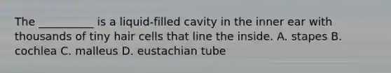 The __________ is a liquid-filled cavity in the inner ear with thousands of tiny hair cells that line the inside. A. stapes B. cochlea C. malleus D. eustachian tube