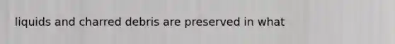 liquids and charred debris are preserved in what