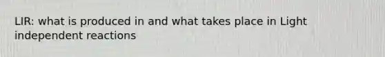 LIR: what is produced in and what takes place in Light independent reactions