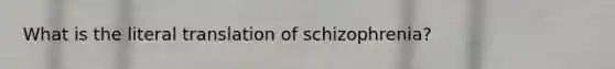 What is the literal translation of schizophrenia?