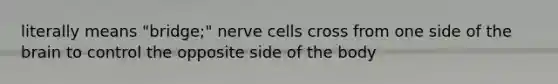 literally means "bridge;" nerve cells cross from one side of the brain to control the opposite side of the body