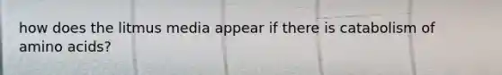 how does the litmus media appear if there is catabolism of amino acids?