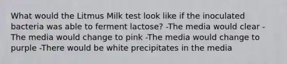 What would the Litmus Milk test look like if the inoculated bacteria was able to ferment lactose? -The media would clear -The media would change to pink -The media would change to purple -There would be white precipitates in the media