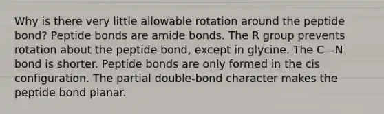 Why is there very little allowable rotation around the peptide bond? Peptide bonds are amide bonds. The R group prevents rotation about the peptide bond, except in glycine. The C—N bond is shorter. Peptide bonds are only formed in the cis configuration. The partial double-bond character makes the peptide bond planar.