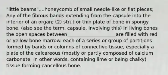 "little beams"....honeycomb of small needle-like or flat pieces; Any of the fibrous bands extending from the capsule into the interior of an organ; (2) strut or thin plate of bone in spongy bone. (also see the term, capsule, involving this) In living bones the open spaces between ____________________are filled with red or yellow bone marrow. each of a series or group of partitions formed by bands or columns of connective tissue, especially a plate of the calcareous (mostly or partly composed of calcium carbonate; in other words, containing lime or being chalky) tissue forming cancellous bone.