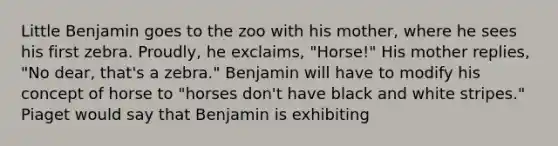 Little Benjamin goes to the zoo with his mother, where he sees his first zebra. Proudly, he exclaims, "Horse!" His mother replies, "No dear, that's a zebra." Benjamin will have to modify his concept of horse to "horses don't have black and white stripes." Piaget would say that Benjamin is exhibiting