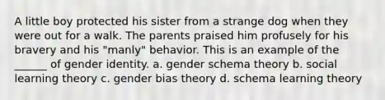 A little boy protected his sister from a strange dog when they were out for a walk. The parents praised him profusely for his bravery and his "manly" behavior. This is an example of the ______ of gender identity. a. gender schema theory b. social learning theory c. gender bias theory d. schema learning theory