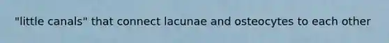 "little canals" that connect lacunae and osteocytes to each other