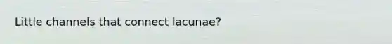 Little channels that connect lacunae?